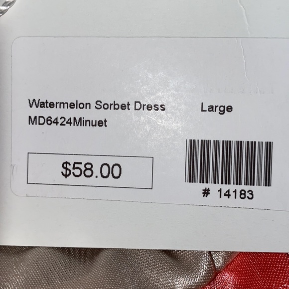 Watermelon Sorbet Dress - Picture 6 of 6